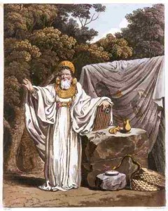 Druide Arch Druid in his judicial habit